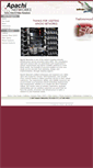 Mobile Screenshot of apachinetworks.com